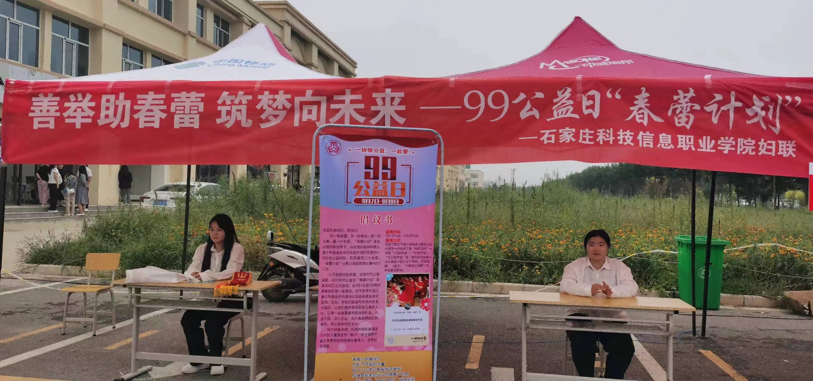 图片8
