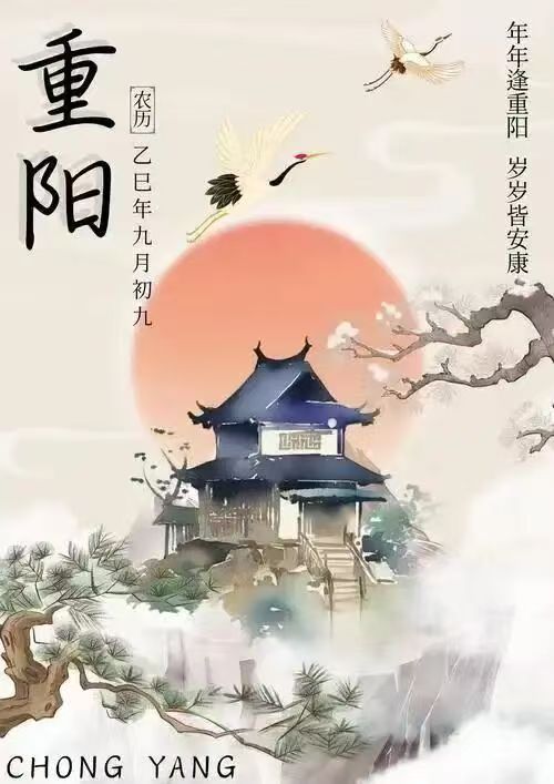 16d982c37ed0ea805a839356fdf5cf1f