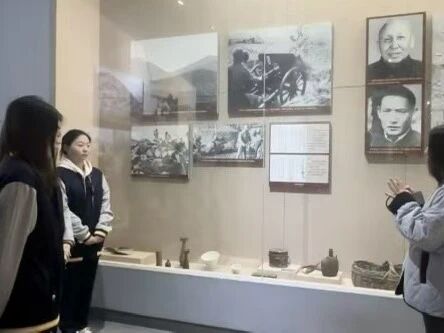 7e61bc790a7825ee20b80199001c04b3