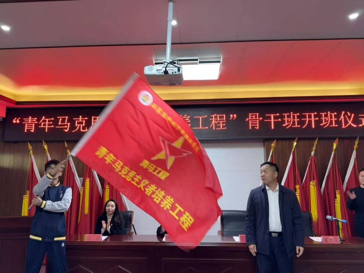 图片8