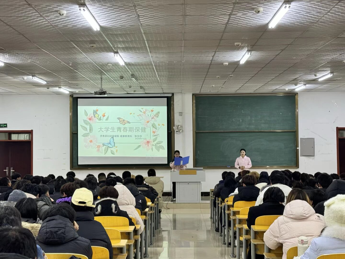 图片15 图片15