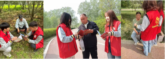 图片9 图片9